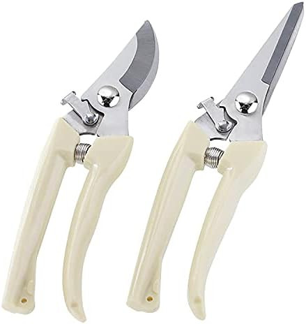 BUGUI Garden Pruning Shears Set - 2 Pack, 1 Bypass Pruner+1 Straight Blade Scissors, Sharp Garden Sh | Amazon (US)