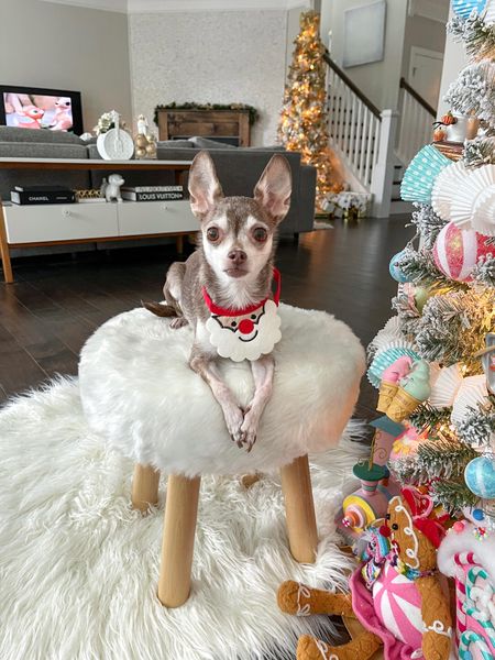 The cutest Santa pet bib!

Christmas, dog bandana, dog clothes 

#LTKSeasonal #LTKfamily #LTKHoliday