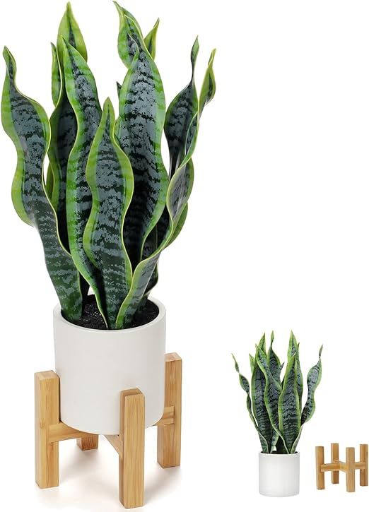 Hollyone Artificial Snake Plant Potted with Solid Wood Plant Stand, 19" Faux Sansevieria Tropical... | Amazon (US)