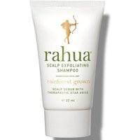 Rahua Scalp Exfoliating Shampoo | Dermstore (US)