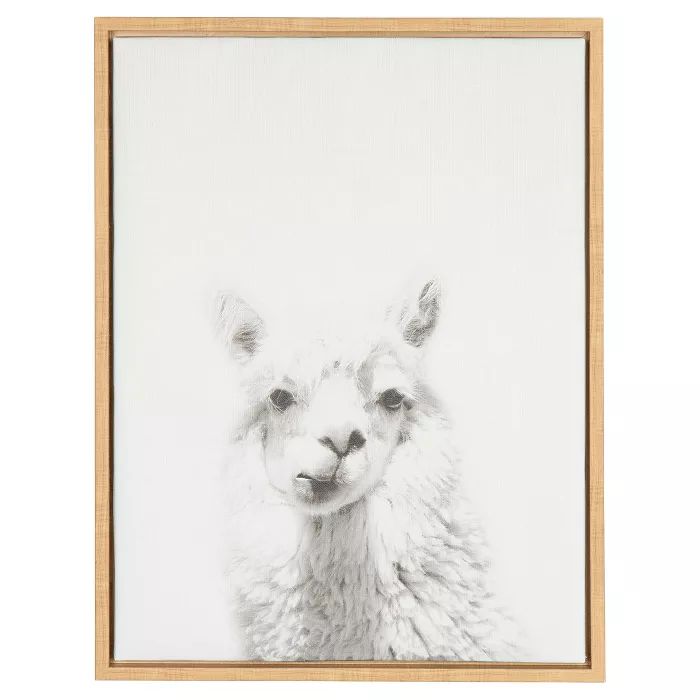 24" x 18" Alpaca Framed Canvas Art - Uniek | Target