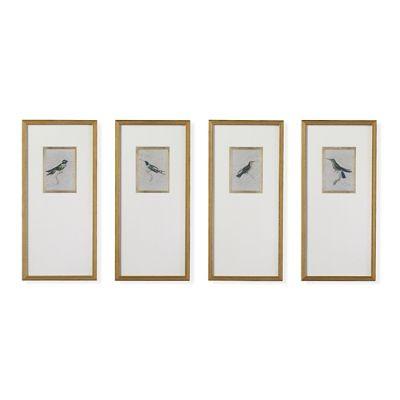 Antique Hummingbird Giclée Prints | Frontgate