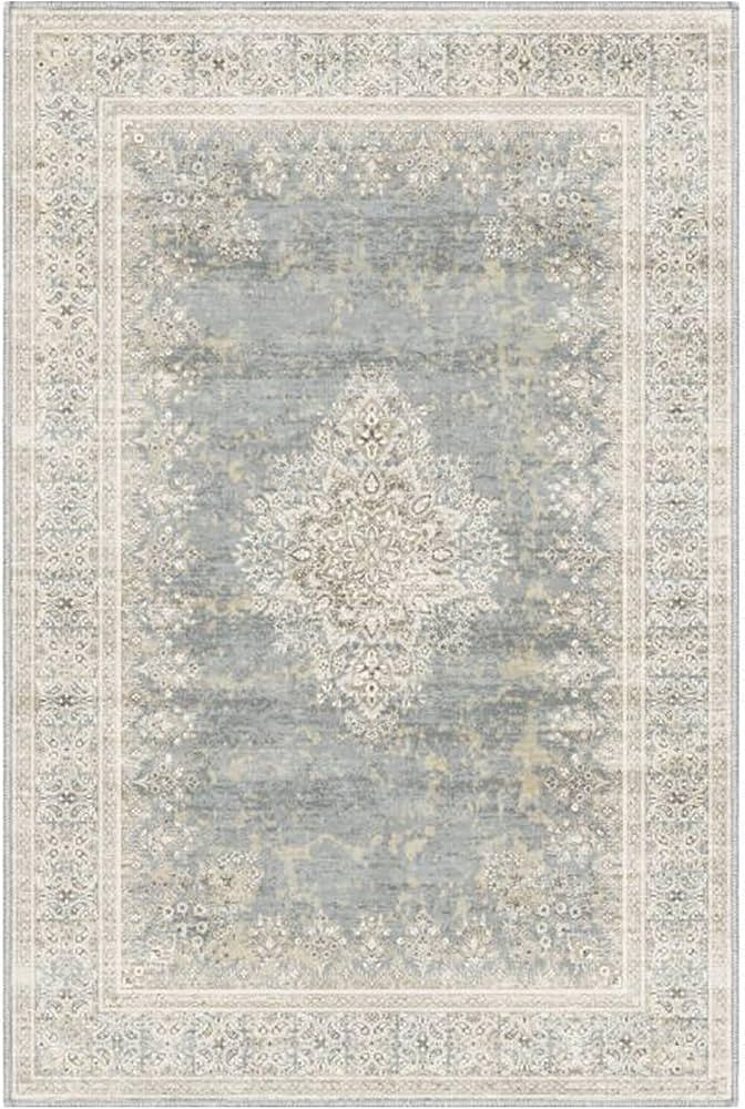 2x3 Rug Small Washable Rug Distressed Thin Indoor Entryway Vintage Rug Low-Pile Floor Carpet for ... | Amazon (US)
