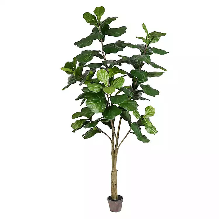 New!Potted Fiddle Leaf Tree, 7 ft. | Kirkland's Home