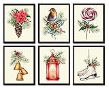 Christmas Wall Art Print Set of 6 Prints - Unframed - Beautiful Pinecone Red Poinsettia Flower Bird  | Amazon (US)
