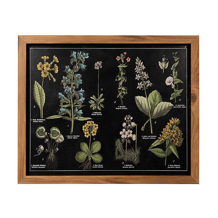New! Floral Chart Framed Art Print | Kirkland's Home