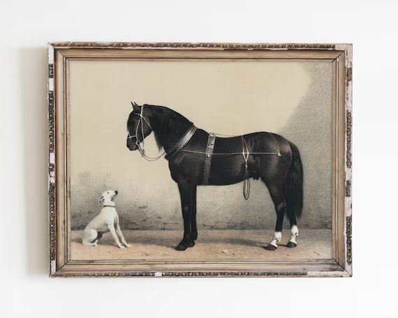 Dog Print Horse Print Animal Wall Art Vintage Print - Etsy | Etsy (US)