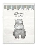 The Stupell Home Decor Collection Stronger Than You Think Hippo Wall Plaque Art, Multi-Color | Amazon (US)