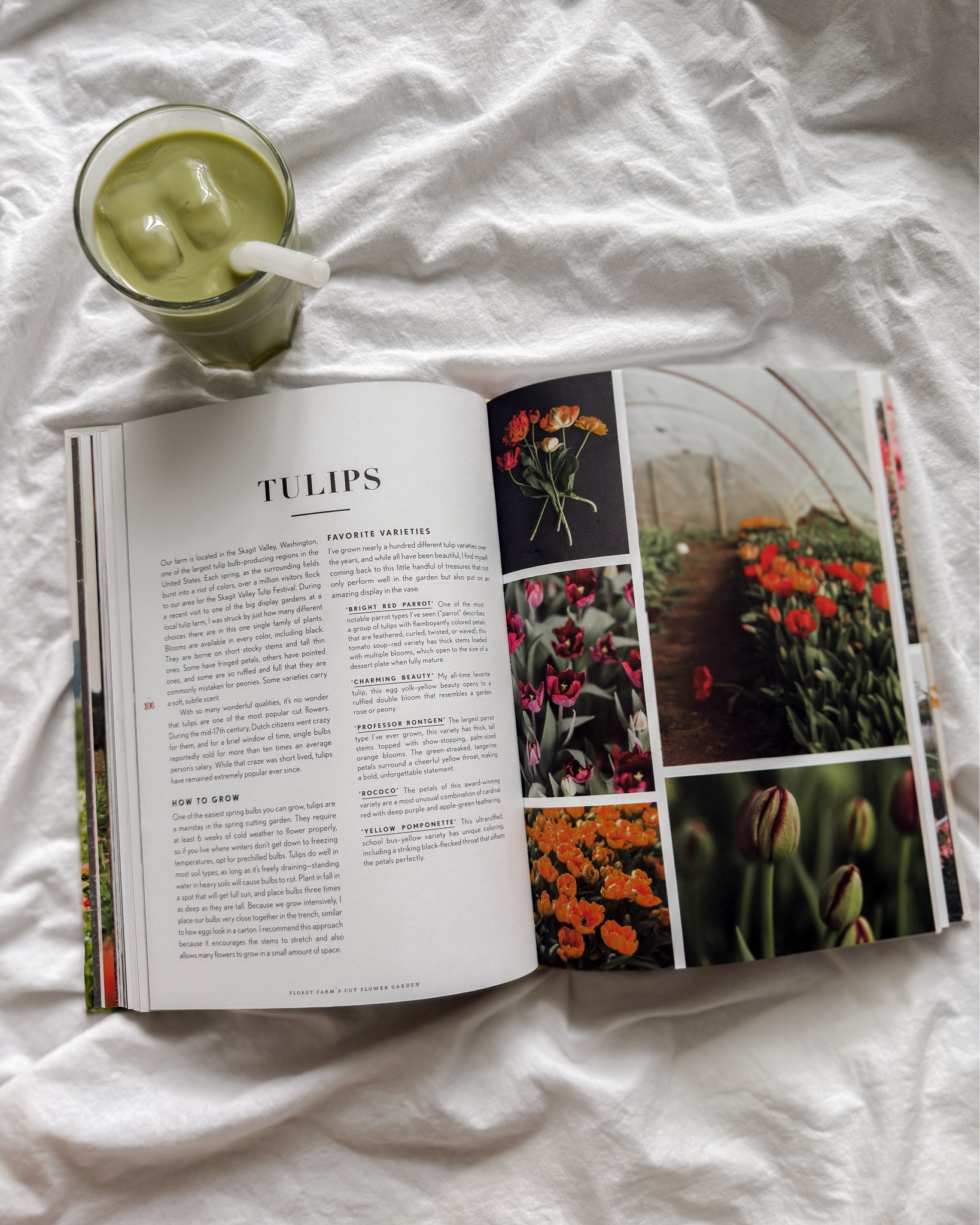 My favorite cut flower gardening book. Full of information and great photos 


•gardening •hobbies •cut flower garden •flowers •matcha 

#LTKdayinmylife #LTKSeasonal #LTKHome