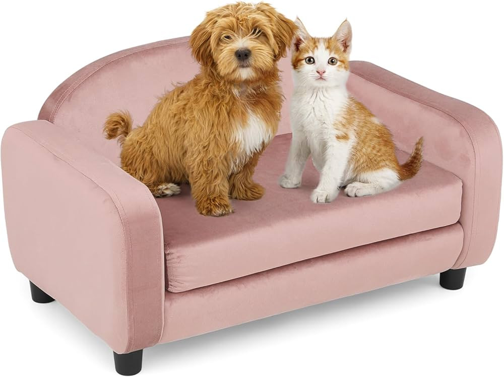 Magshion 28 Inch Dog Sofa Couch for Small Pet, Low Back Modern Velvet Elevated Cat Lounging Beds ... | Amazon (US)