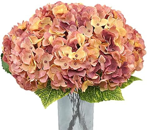 Blooming Hydrangeas  | Amazon (US)