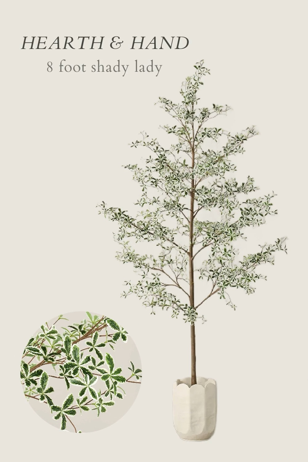 The perfect faux Shady Lady olive tree in the cutest decorative pot- from the new Hearth & Hand with Magnolia fall collection! fall decor, autumn, home decor, modern organic, modern farmhouse, cottage, cozy decor, living room, family room, entryway, dining room, breakfast nook, kitchen, bedroom, guest room, home office


#LTKSeasonal #LTKStyleTip #LTKHome