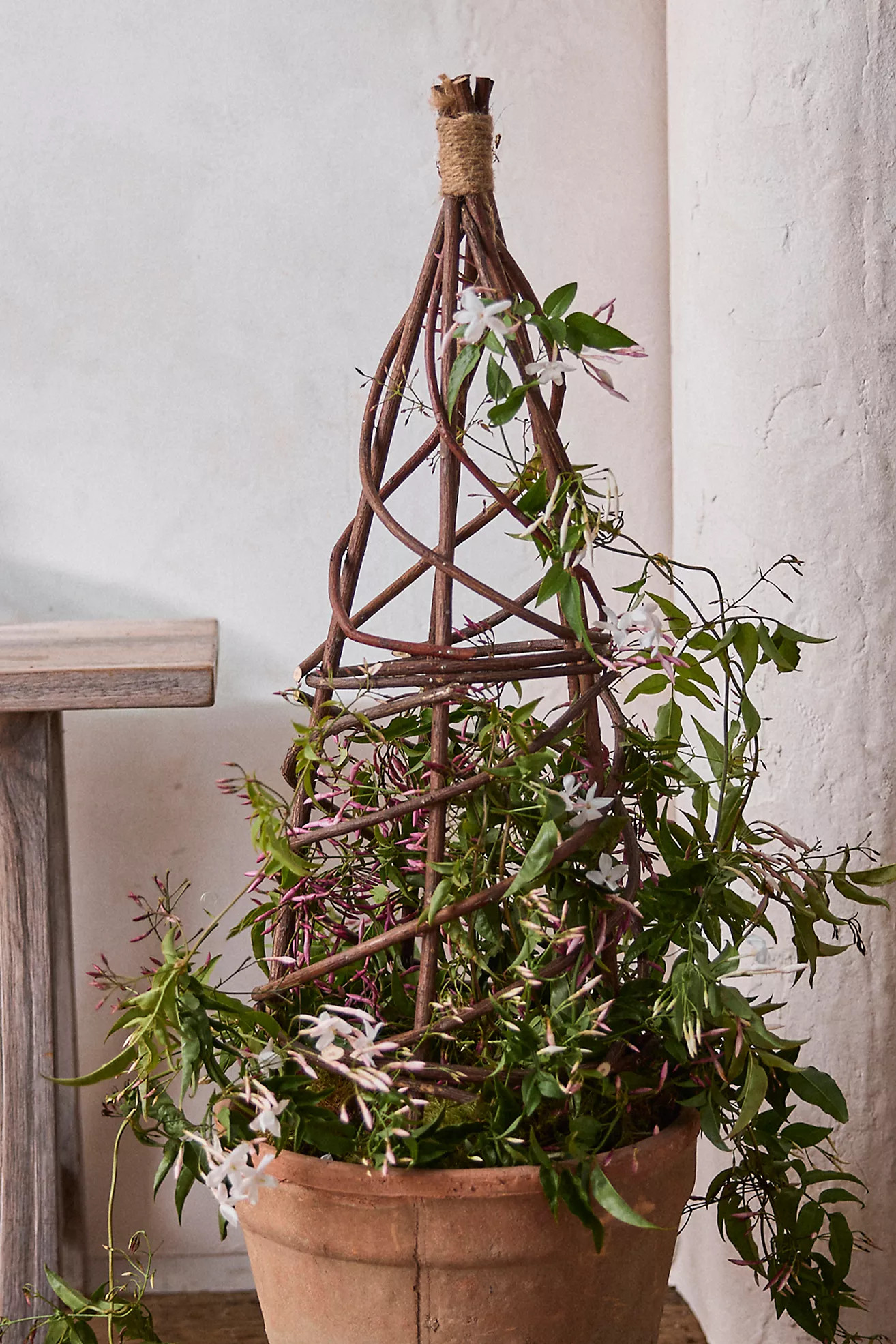 Woven Willow Mini Garden Obelisk | Terrain
