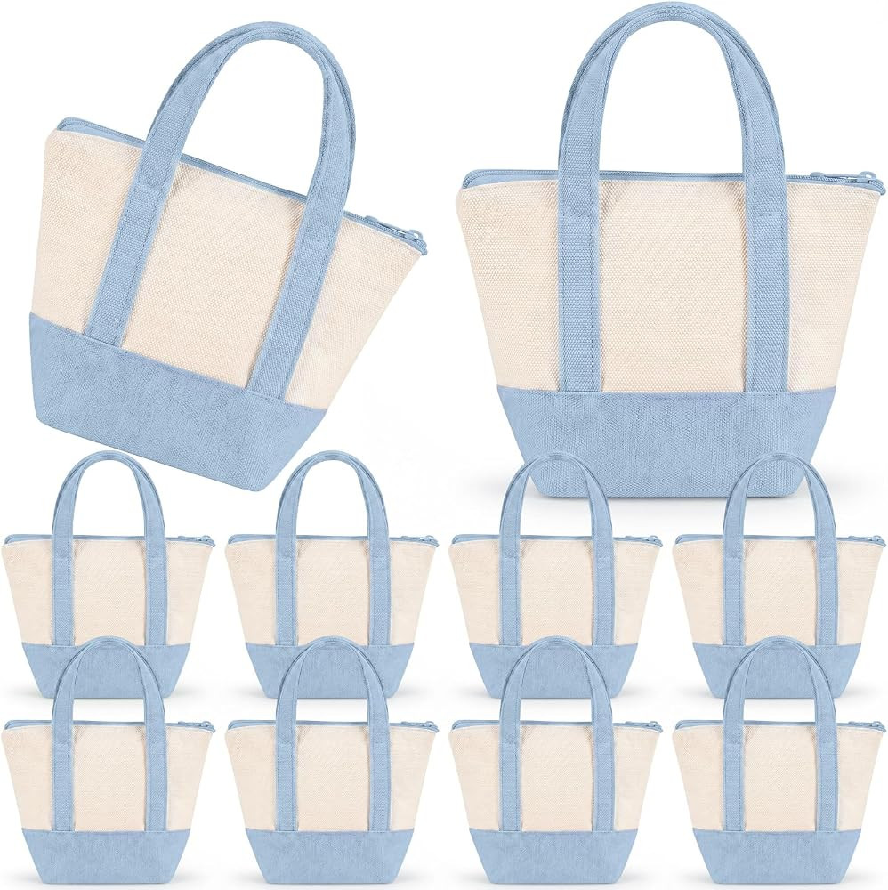 Mini Canvas Tote Bags Bulk with Top Zipper Closure, Reusable Thank You Gift Bags, Bachelorette Pa... | Amazon (US)