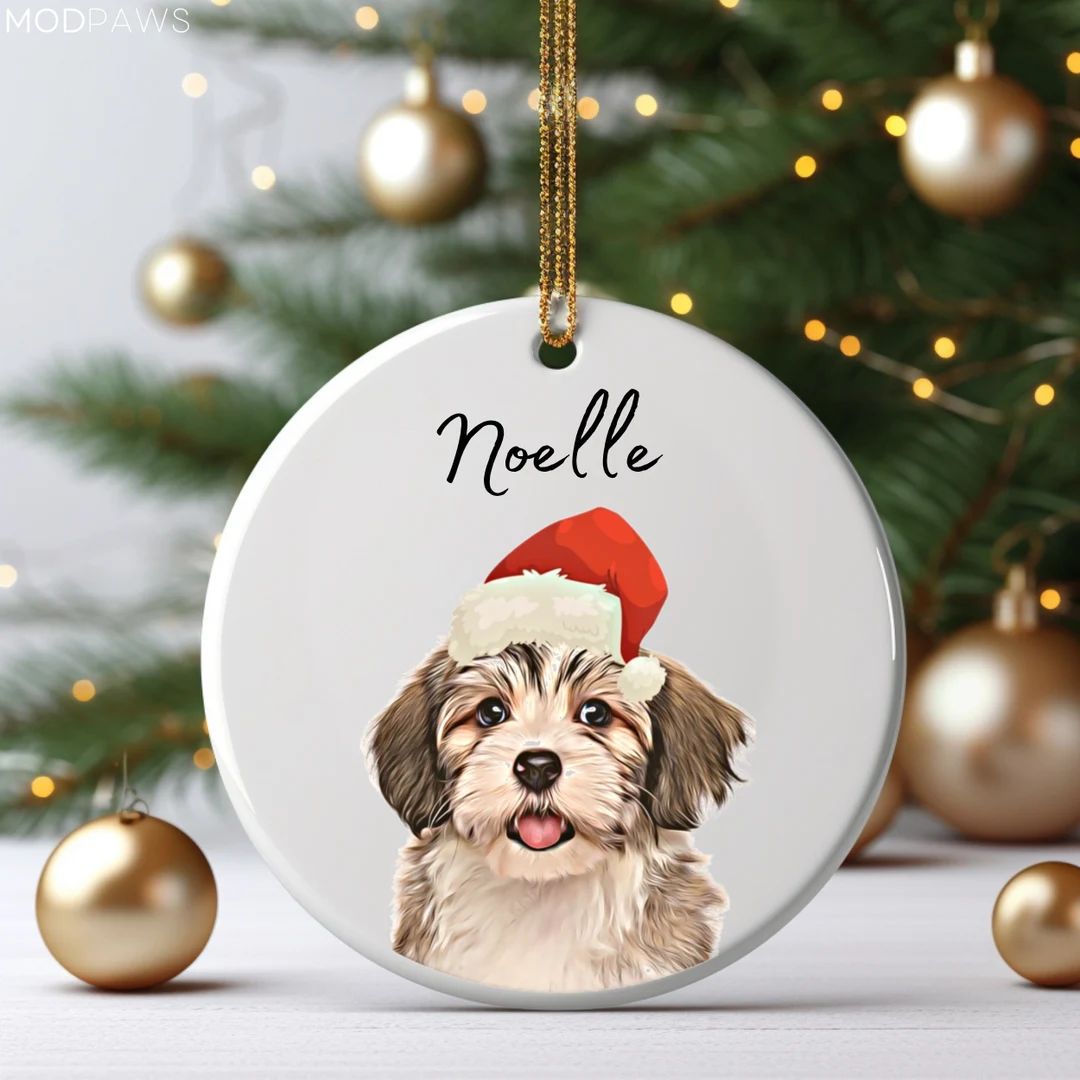 Personalized Pet Ornament Using Pet's Photo Name - Etsy | Etsy (US)