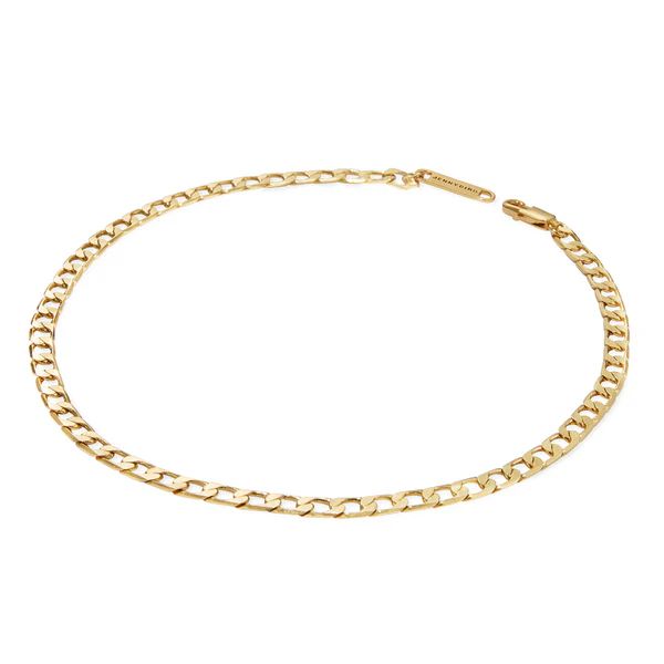 Walter Choker flat curb chain necklace in Gold | JENNY BIRD | Jenny Bird (US)
