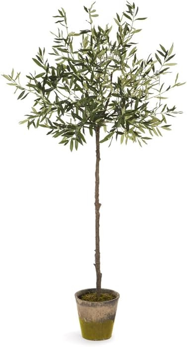 NAPA Home & Garden, Olive Tree in Moss Pot 69" | Amazon (US)