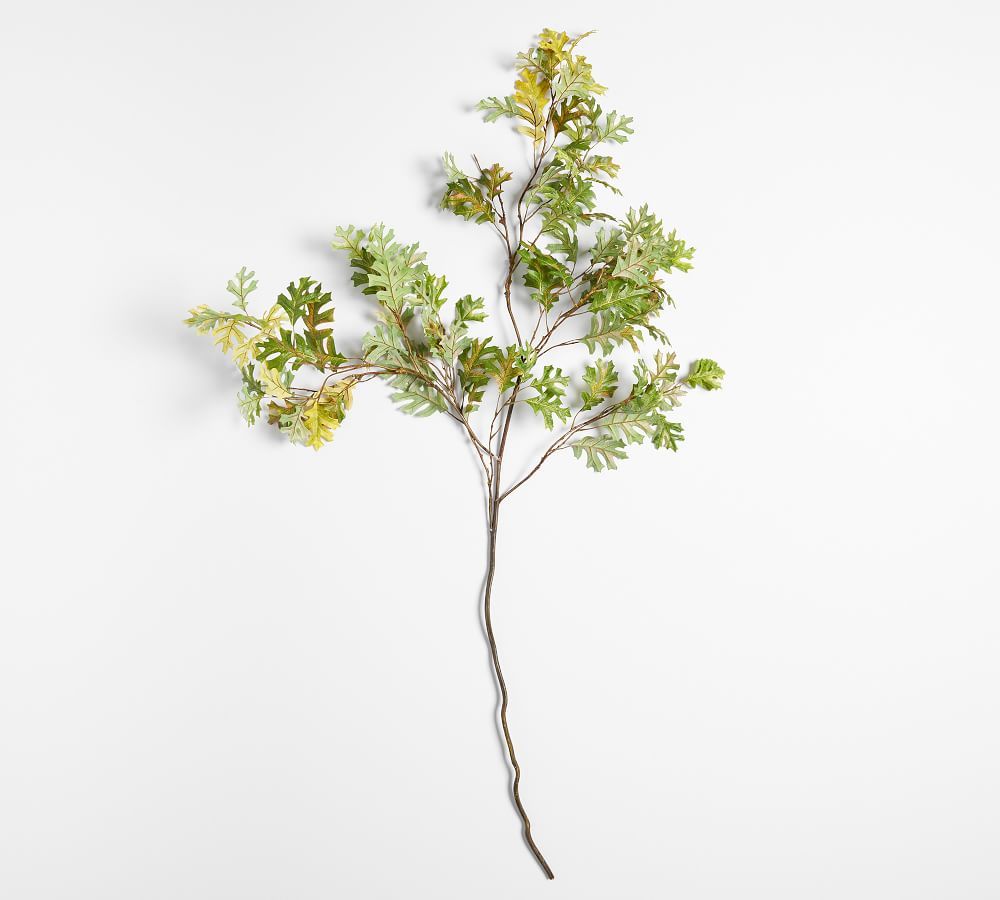 Faux Turning Oak Branch - Green | Pottery Barn (US)