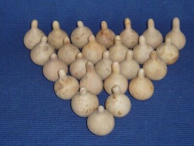25 DRIED/CLEANED CRAFT READY TENNESSEE SPINNER GOURDS FOR PRIMITIVE DECOR | eBay US