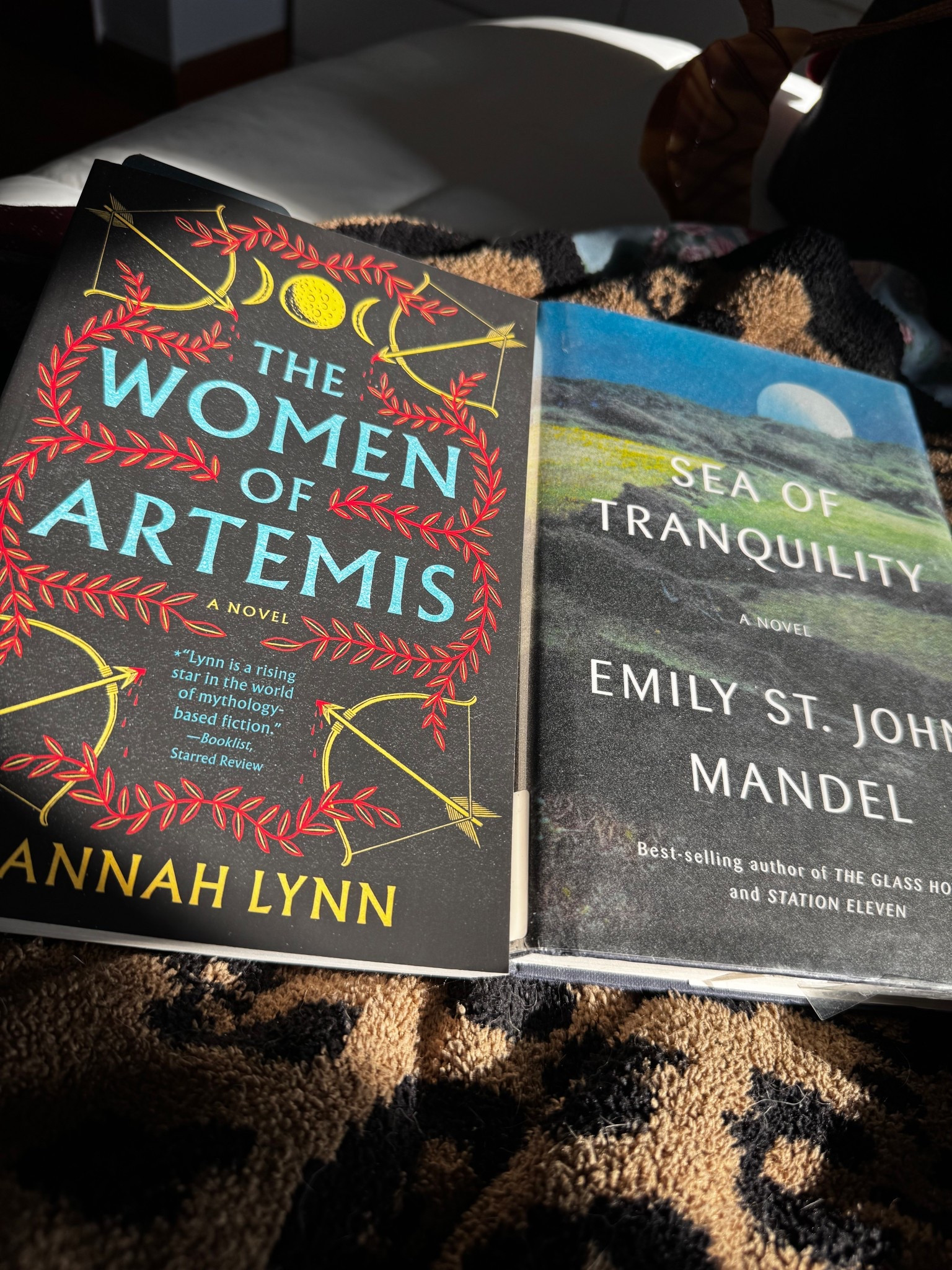 Next two books up on my reading docket. #books #womenwhoread #currentlyreading 

#LTKstorytime