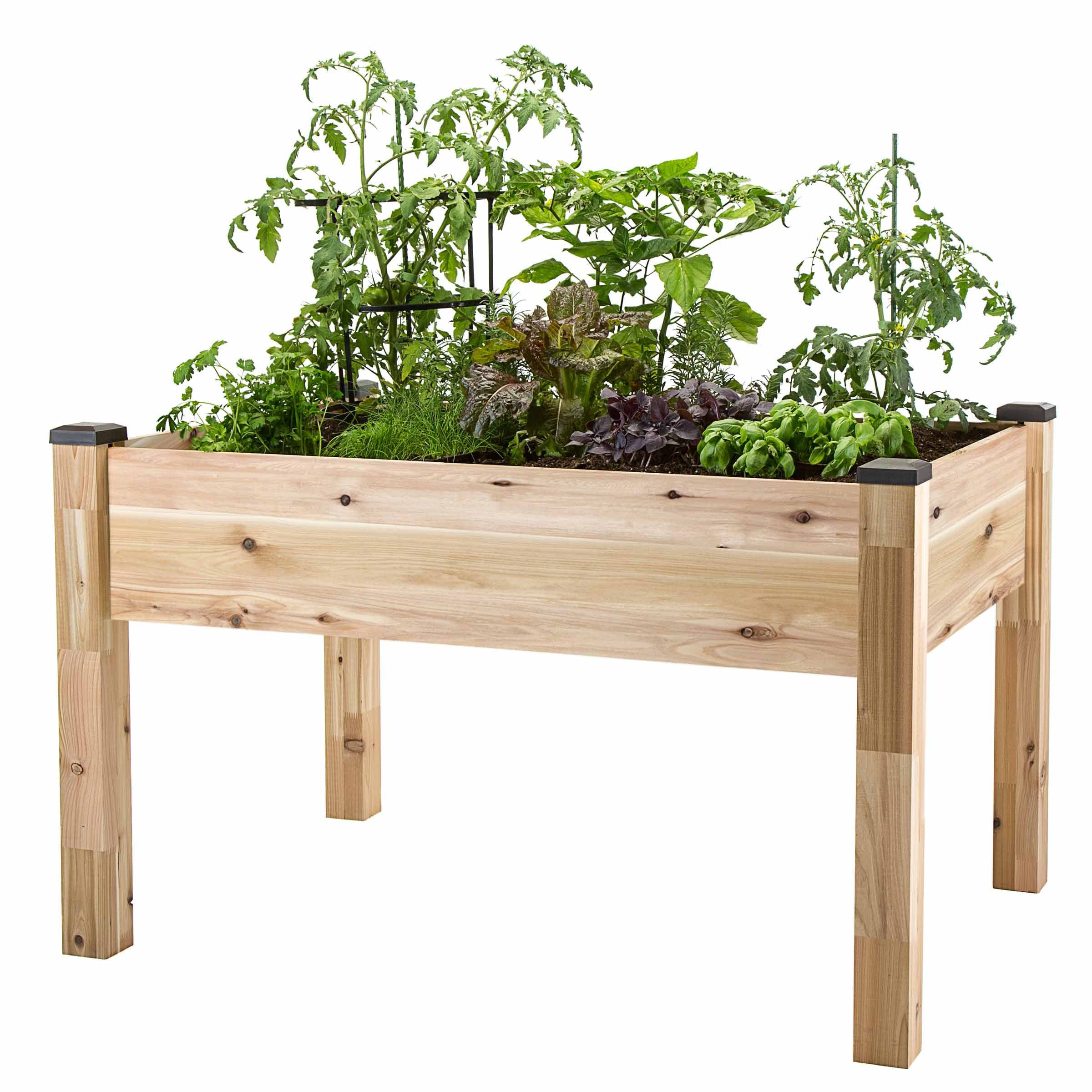 CedarCraft 33-in W x 49-in L x 30-in H Elevated Natural Cedar Raised Garden Bed in Clear | CCELV3449C | Lowe's