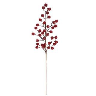 Iced Red Roseberry Stem by Ashland® Christmas | Michaels Stores