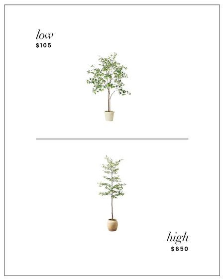 High / Low : Faux Maple Tree from Target or McGee & Co  

#LTKsalealert #LTKhome