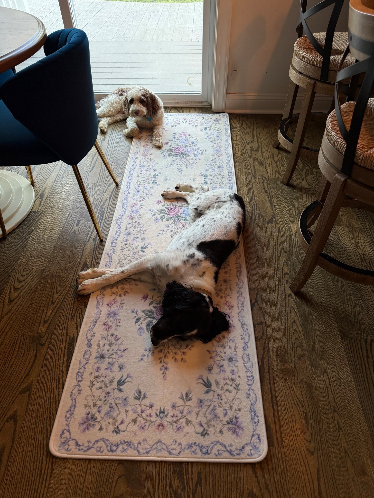 The dogs love my new rug just as much as me!!!  #rug

#LTKmomlife #LTKHome #LTKSaleAlert