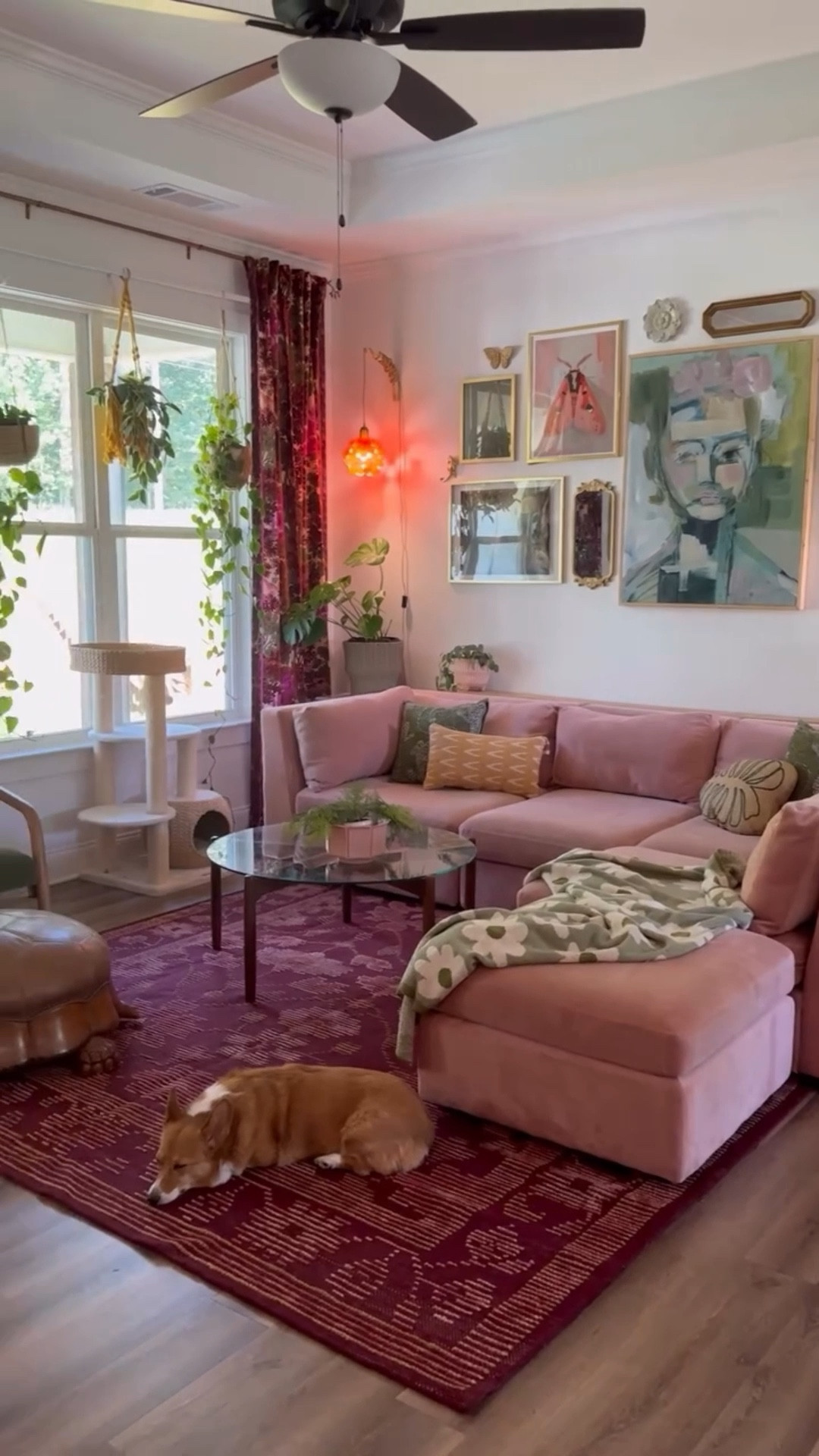 New curtains, new rug, new vibe unlocked.
Pink + green + burgundy = a forever kind of love.
Grand finale: Phoebe becoming one with the drapes.
🖤

#pinkandburgundy #washablerug #velvetcurtains #eclecticinteriors 

#LTKPets #LTKFamily #LTKHome