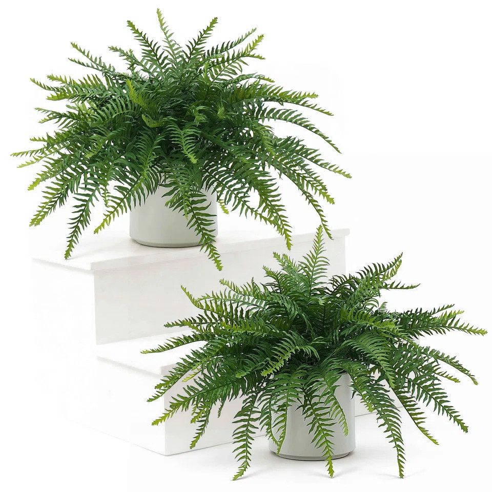 Primrue 21" Artificial Ferns Topiary Set of 2 - 17" Tall Fake Boston Fern Potted Plants | UV Resi... | Wayfair North America