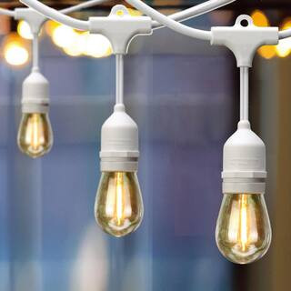 Hampton Bay 12-Light 24 ft. Indoor/Outdoor Plug-In Edison Bulb String Light with S14 Single Filam... | The Home Depot