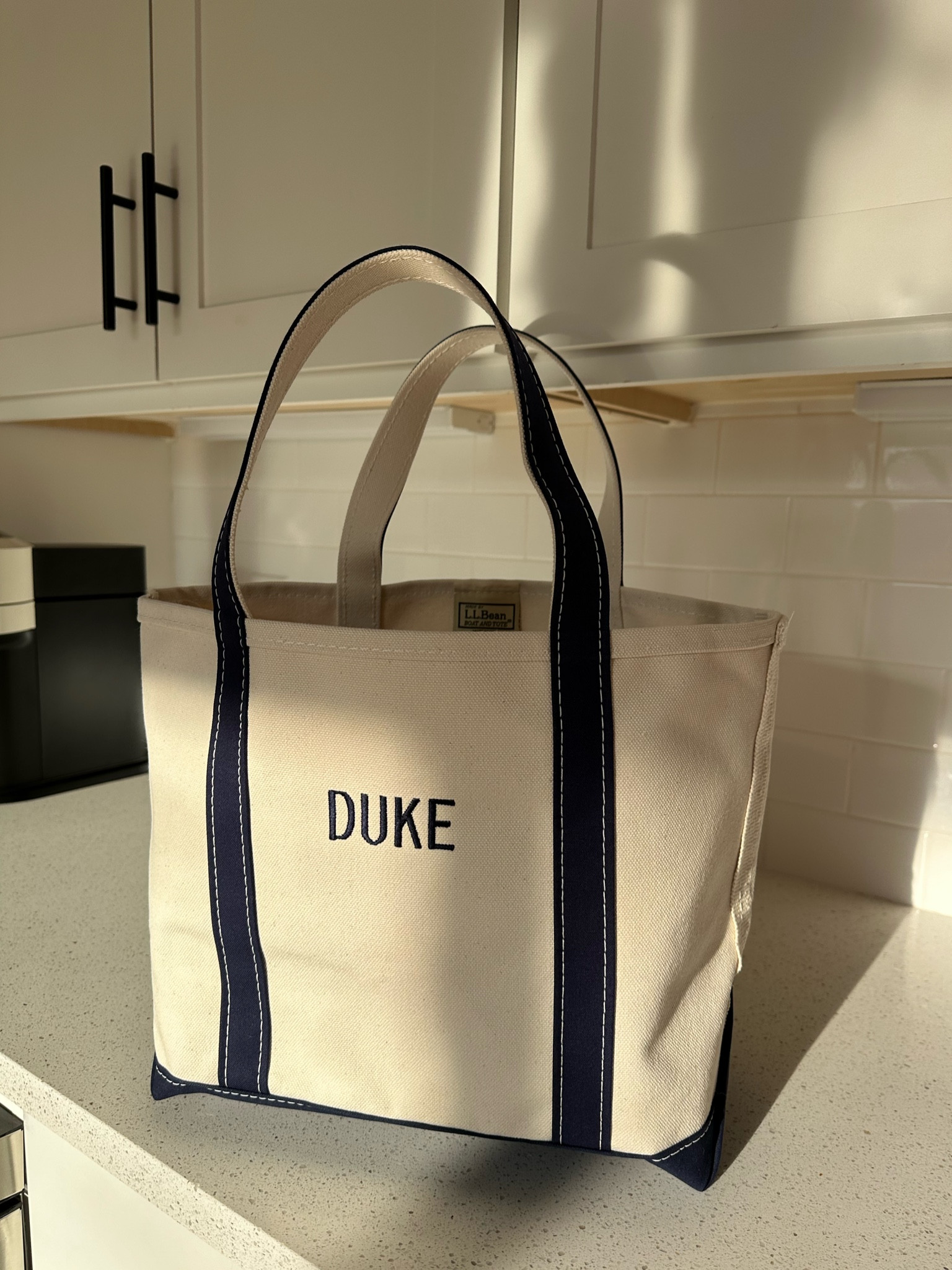 LL Bean tote for our new pup! I’m obsessed 

I got the size medium with regular handles in navy! 

bag - puppy - dog - tote bag - travel bag - baby bag - ll bean tote - monogram 

#LTKtravel #LTKGiftGuide #LTKbaby