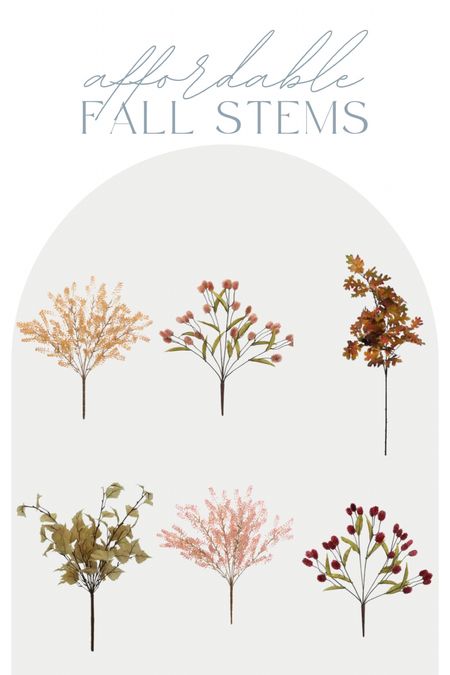 Affordable fall stems, fall florals, fall branches, fall decor, half off right now! 

#LTKhome