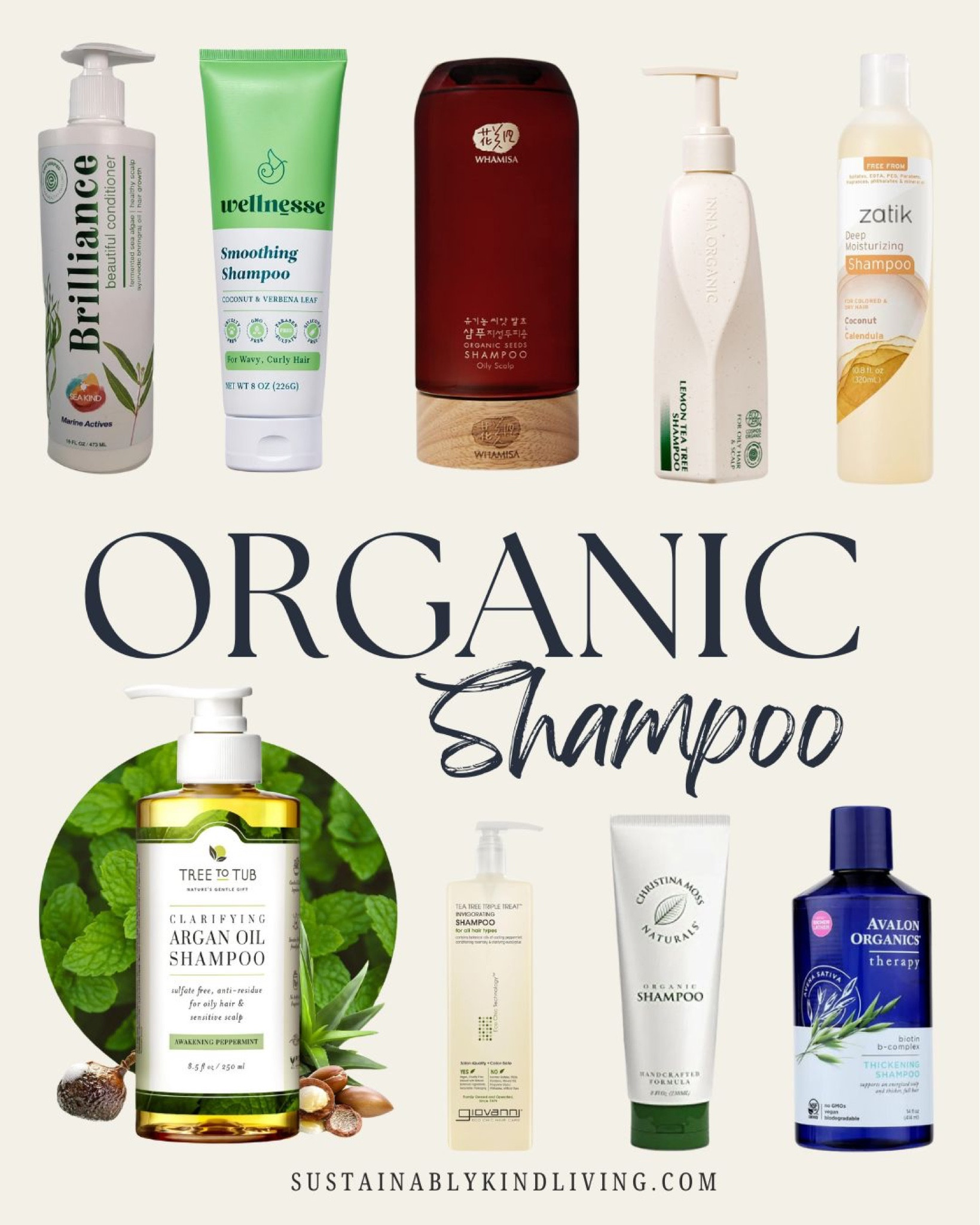 Organic shampoo options! 🧴Organic drugstore shampoo, organic shampoo brands, best organic shampoo 

#LTKFamily #LTKBeauty