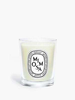 Mimosa
            Small candle | diptyque (US)