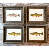6 Prints, You Pick - Any Fish, Fish Art, 8x10 Or 11x14, Fly Fishing, Fishing Art | Etsy (US)