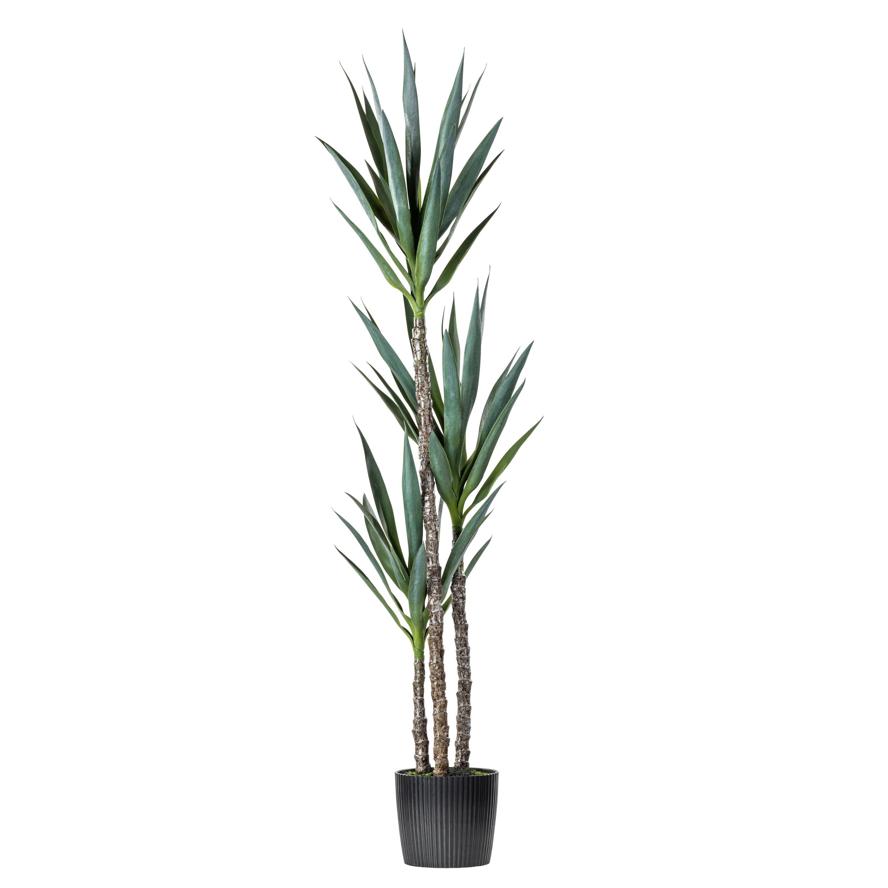 Artificial Green Yucca Tree in Black Planters Pot. | AllModern