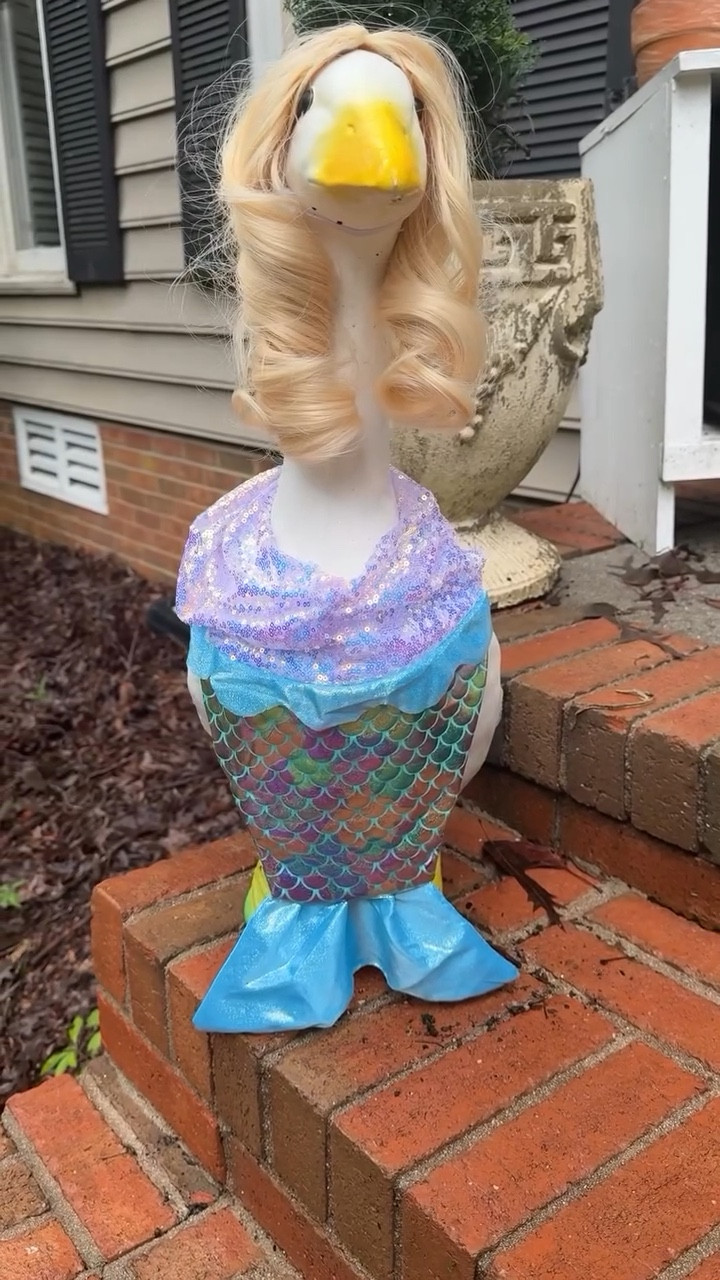 �Everyone needs a front porch goose.  Wouldn’t the world be more joyful if we all had our own Gladys?! 

#frontporchgoose #frontporchgoosefashion #porchgooseclub #porchgooseclubofamerica