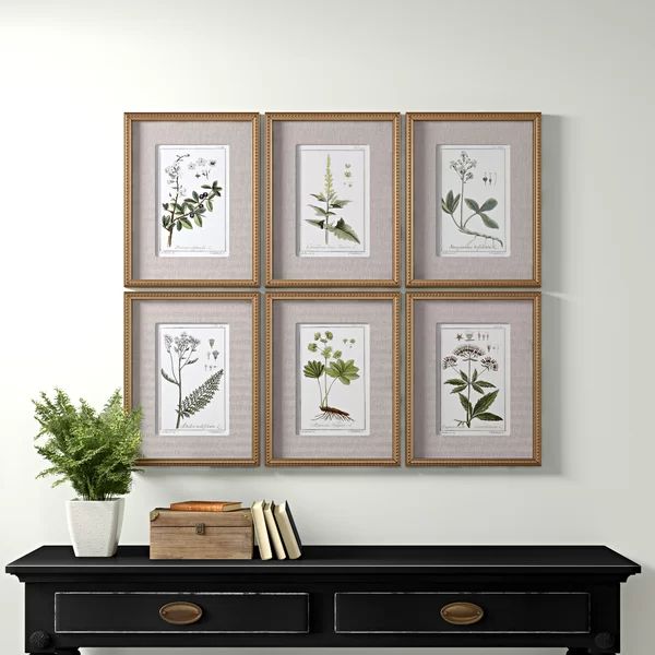 'Botanical Sketches' Picture Frame Graphic Art Set | Wayfair North America