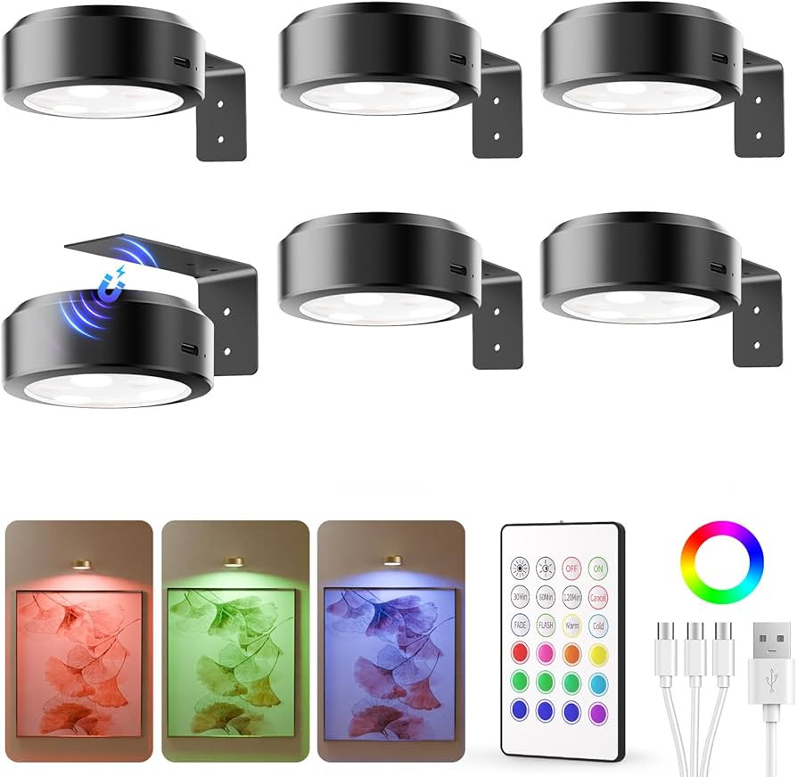 EZVALO Color Changing Picture Lights for Wall,2000mAh Rechargeable Battery Painting Light,Wireles... | Amazon (US)