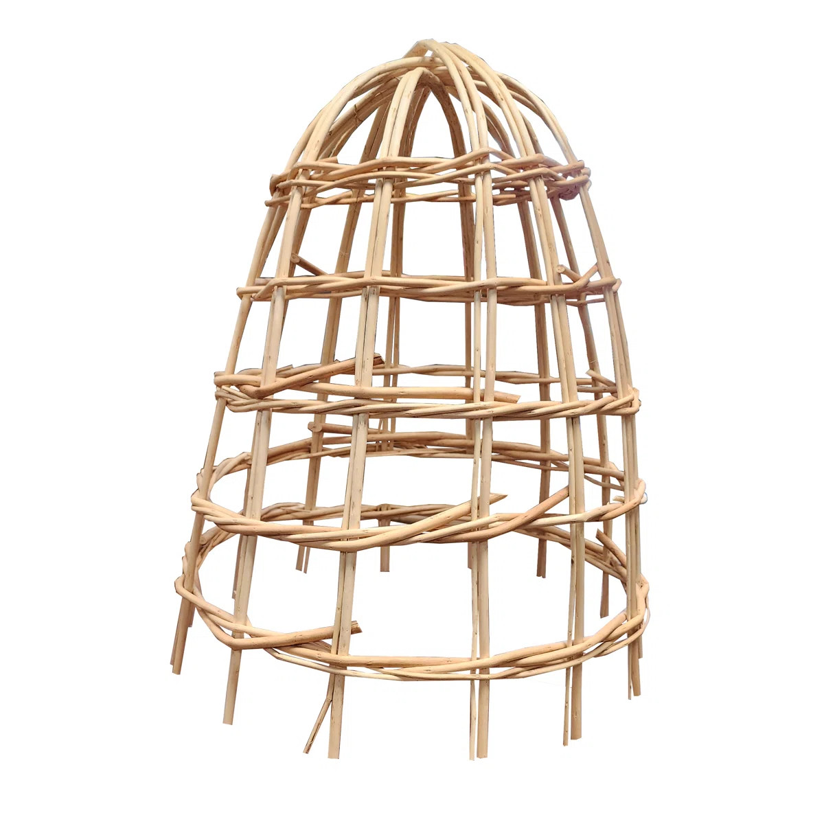 Willow Cloche | Wayfair North America