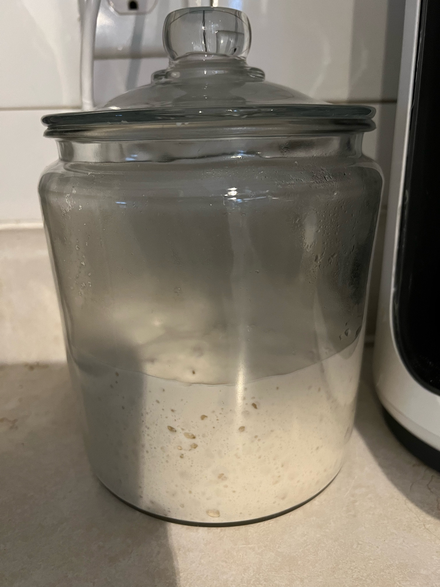 Sourdough starter jar

#LTKfamily #LTKhome #LTKfindsunder50