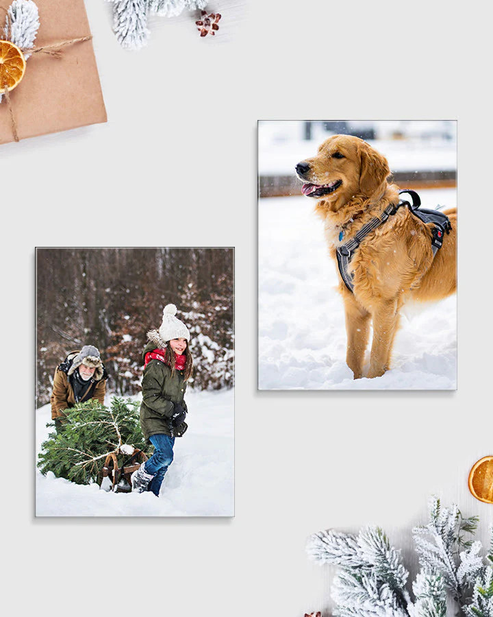 2 Medium Glass Prints Bundle | Fracture