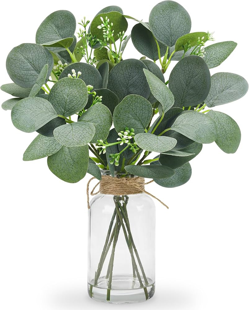 Der Rose 14" Artificial Eucalyptus Stems in Glass Vase with Faux Water Fake Plant Eucalyptus Leav... | Amazon (US)