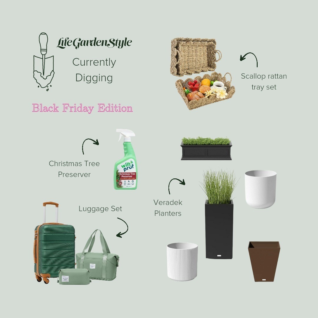 Black Friday finds, scallop tray, scallop rattan basket, veradek planters, outdoor planters, luggage set, wilt pruf, Christmas tree preserver

#LTKFindsUnder100 #LTKHoliday #LTKSaleAlert
