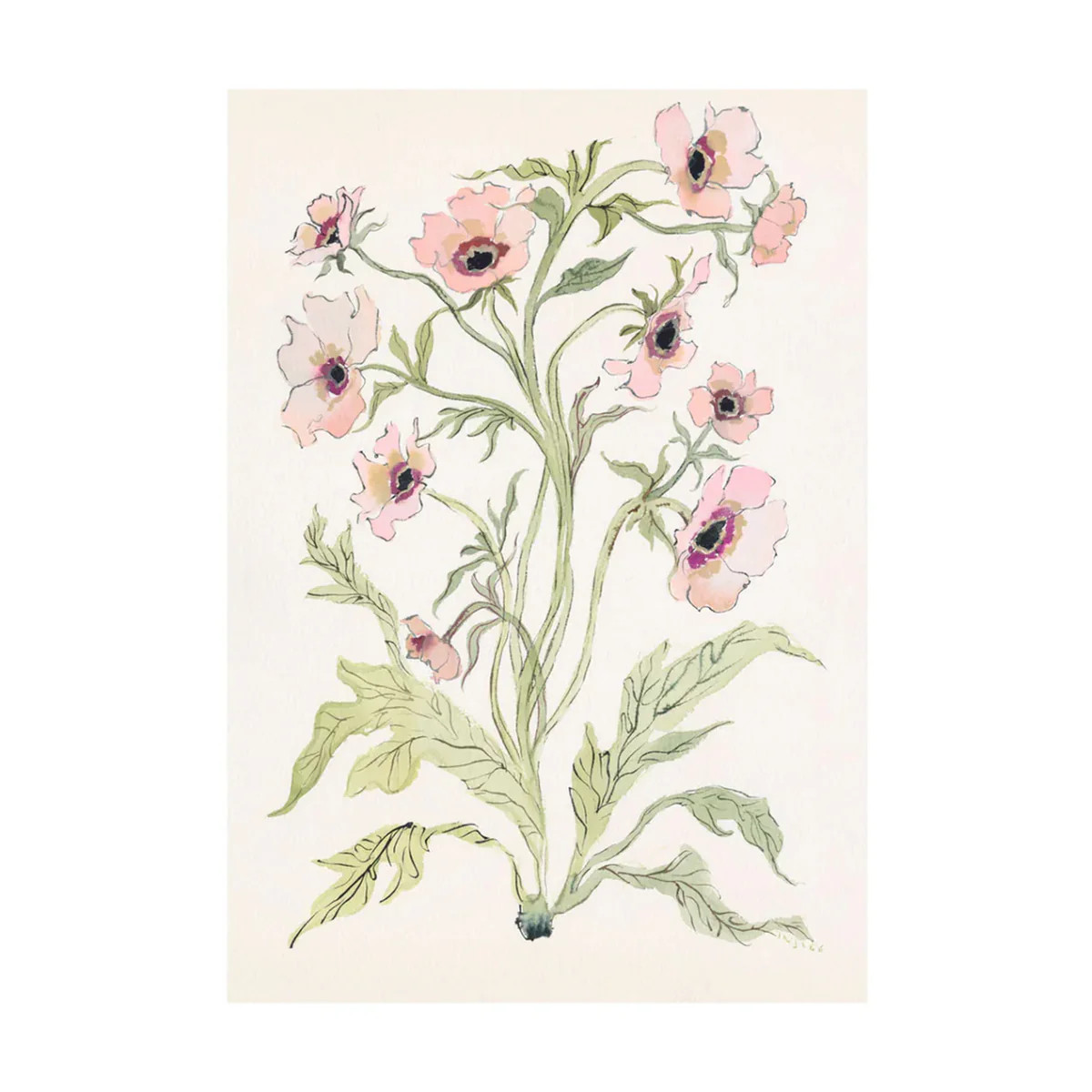 Botanical Print: Slipper & Sage | Over The Moon