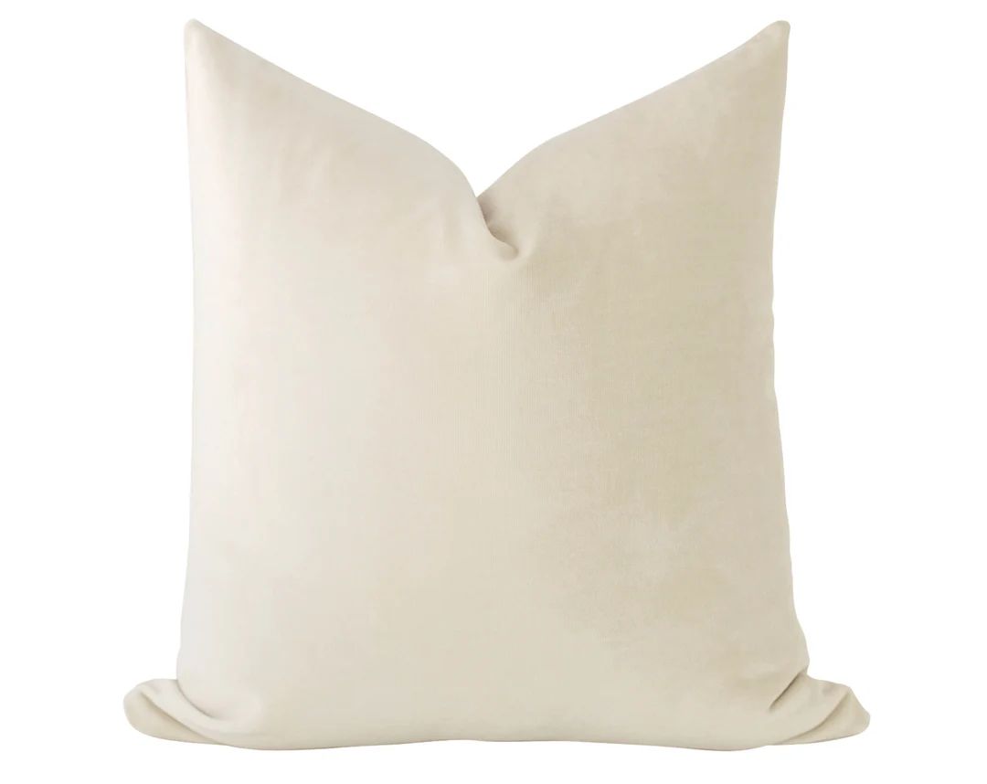 Beige Velvet Pillow Cream Pillow Cover Beige Velvet Pillow - Etsy | Etsy (US)