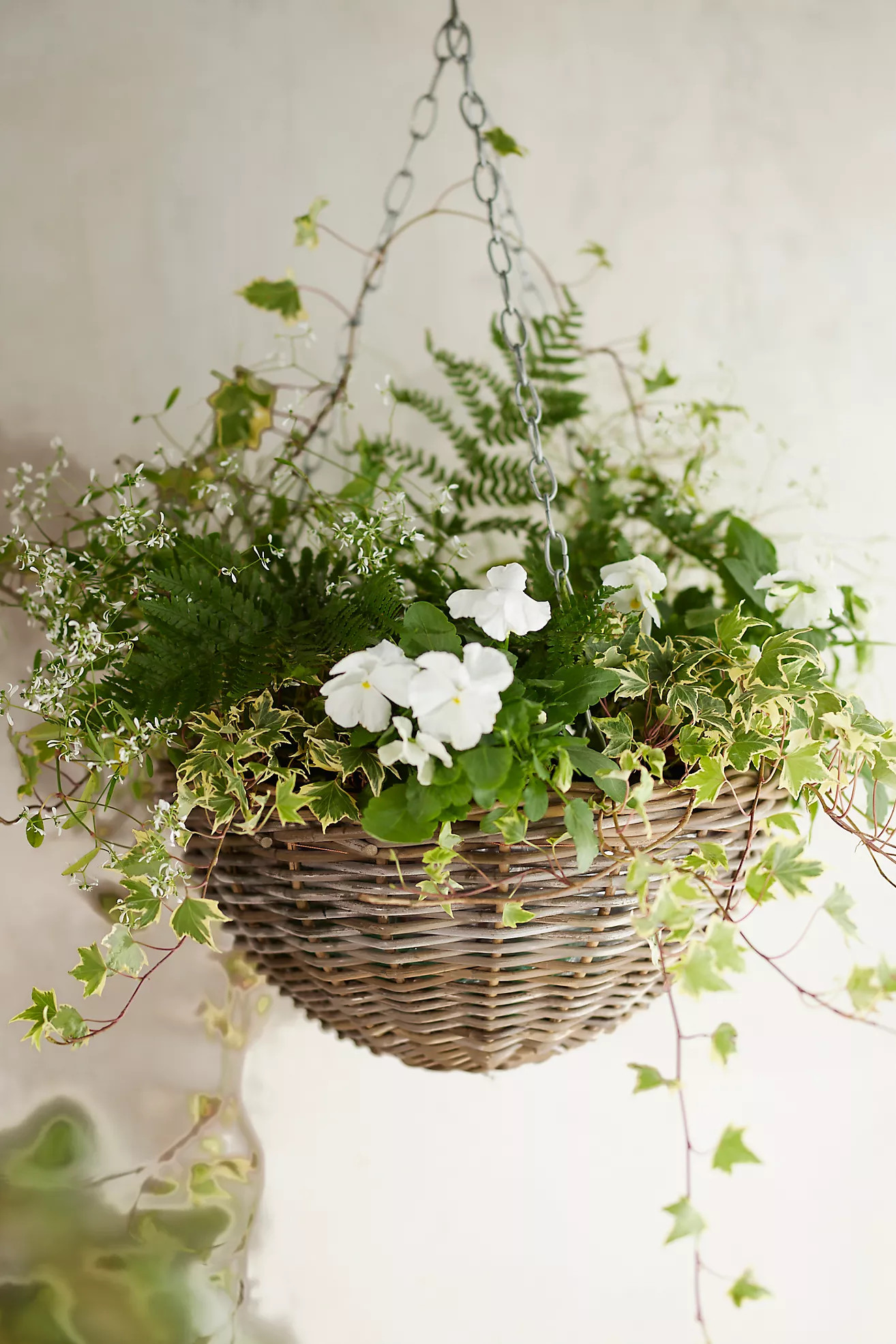 Hanging Rattan Rounded Basket Planter | Terrain