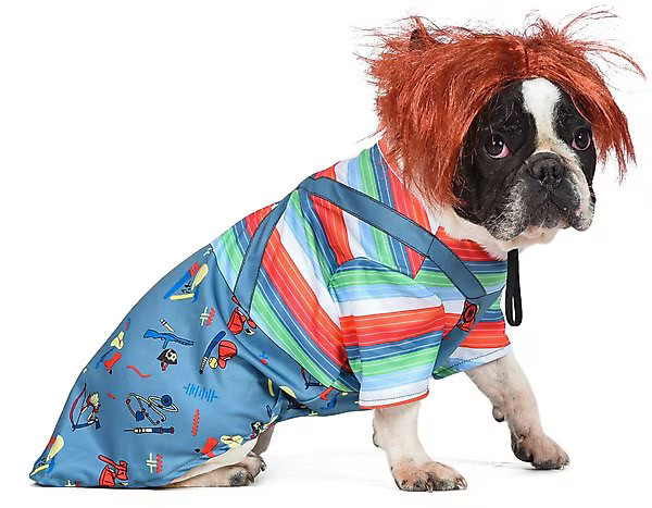 Fetch For Pets NBC Horror Chucky Halloween Dog Costume | Chewy.com