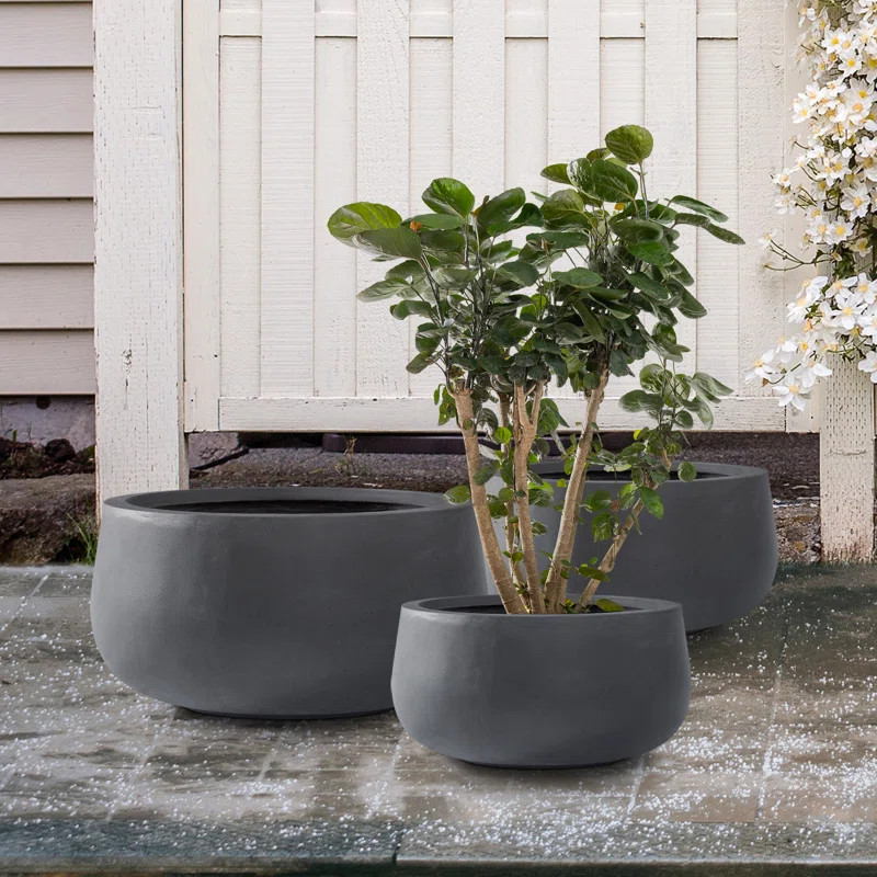 Kante 3 Piece 19.6", 15.7", and 11.8"W Round Concrete Elegant Planters, Outdoor Indoor Modern Pla... | Wayfair North America
